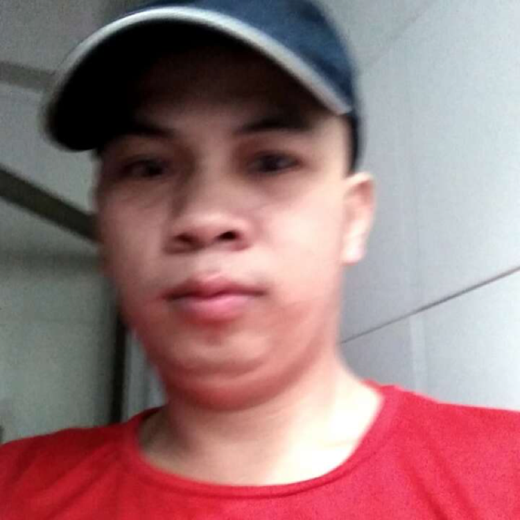 红玫瑰浅吻冷静的照片