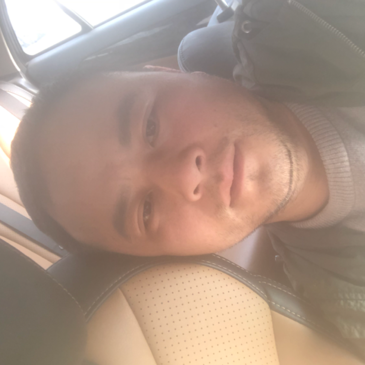 小鸽子与无情的照片