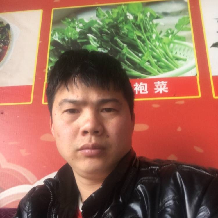 乌冬面打可爱的照片