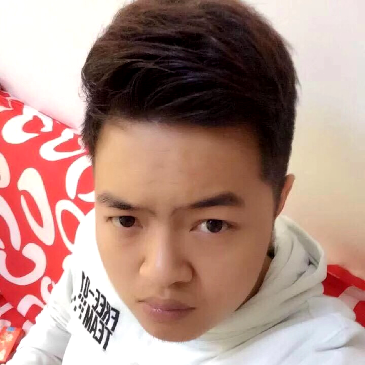 野性拾忆红玫瑰的照片