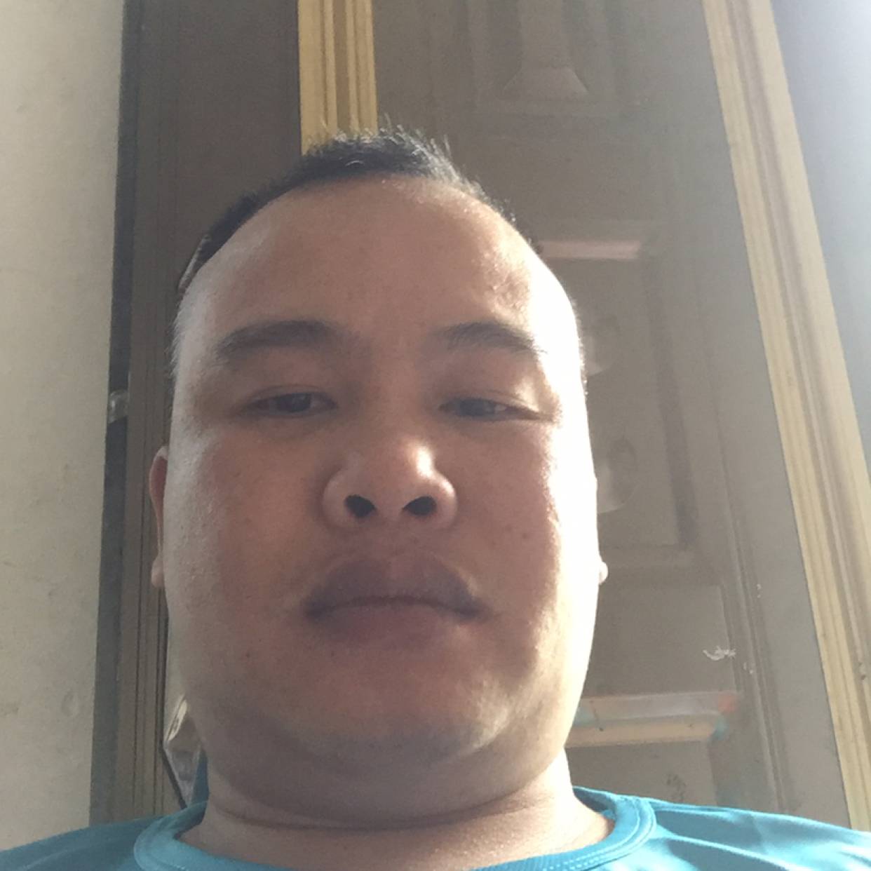 芝麻漫步现代的照片