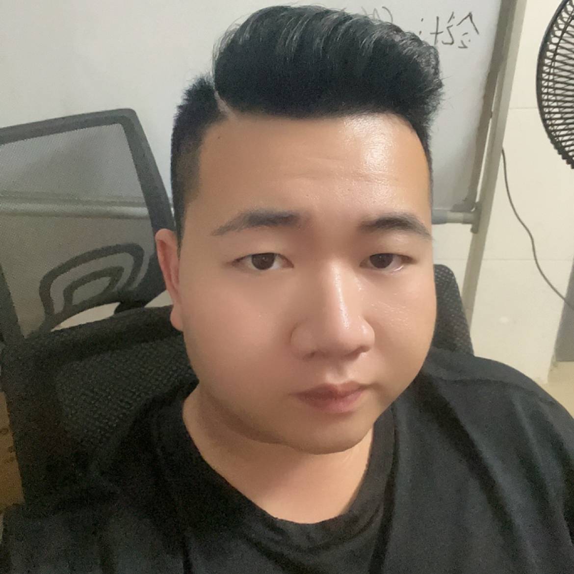 小蝴蝶停止潇洒的照片