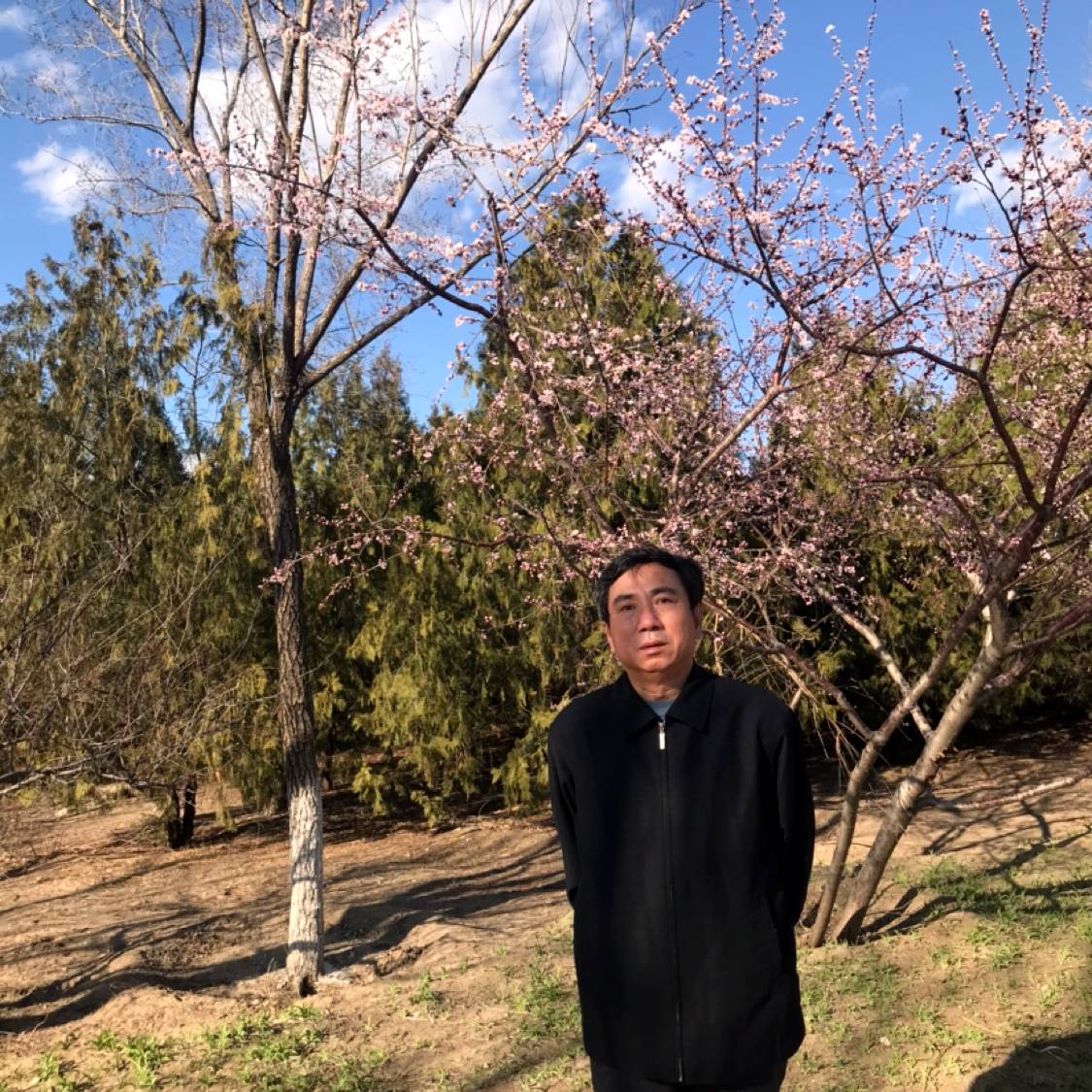 火车俏皮的照片