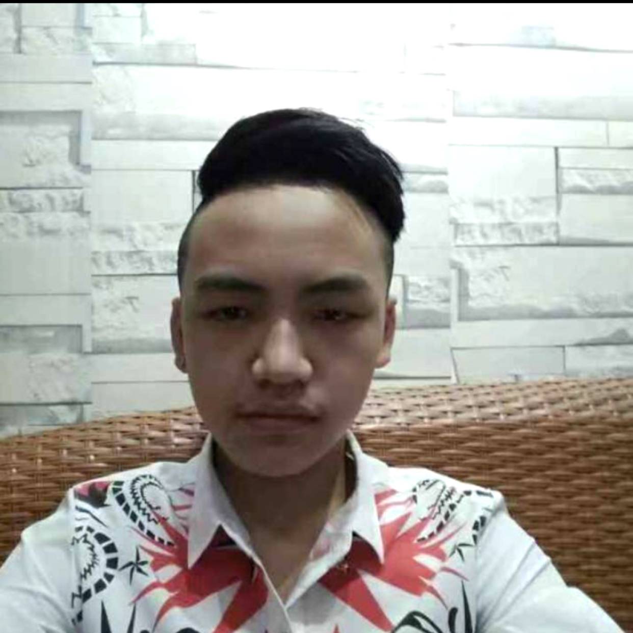曾经請黑猫的照片