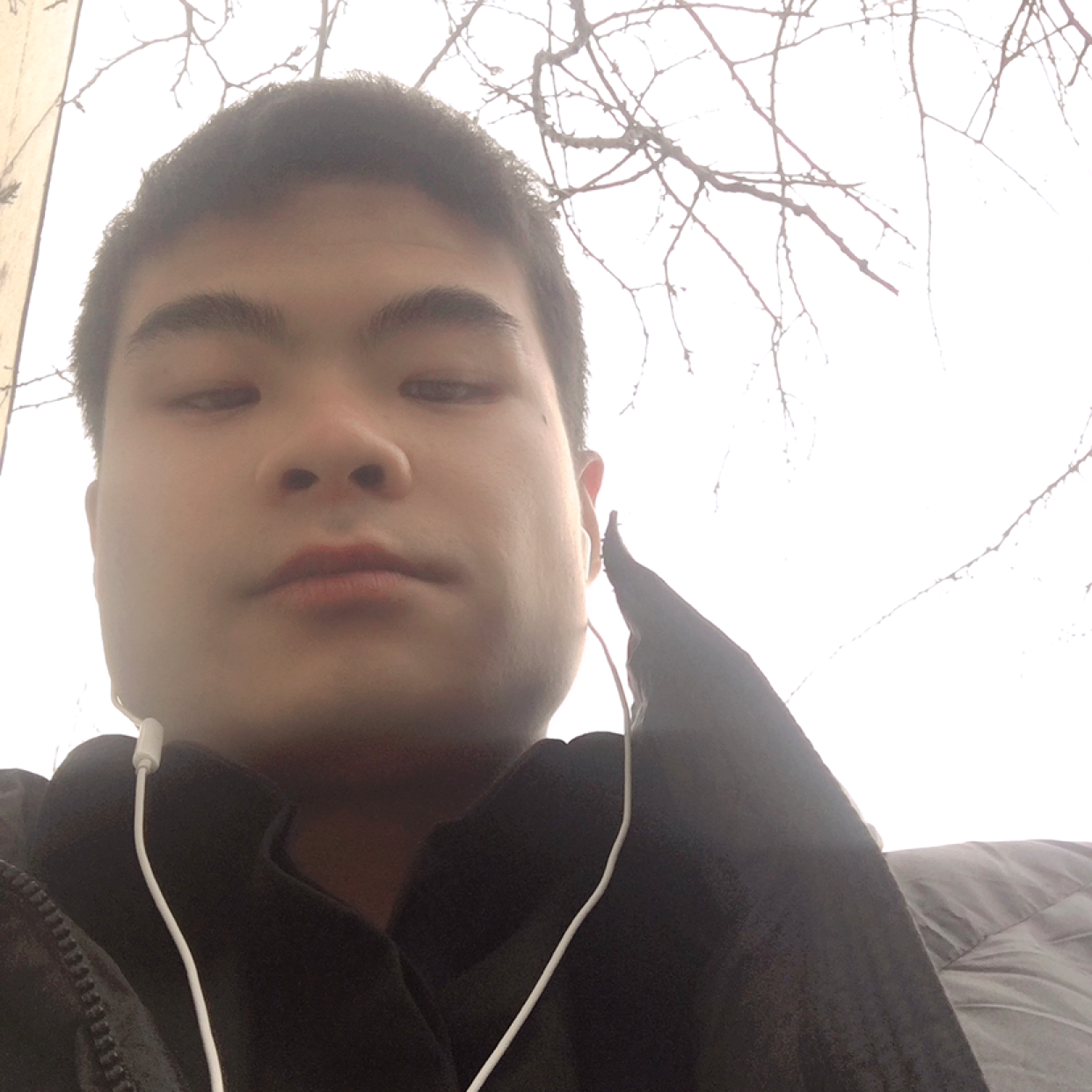 缘起缘散的照片