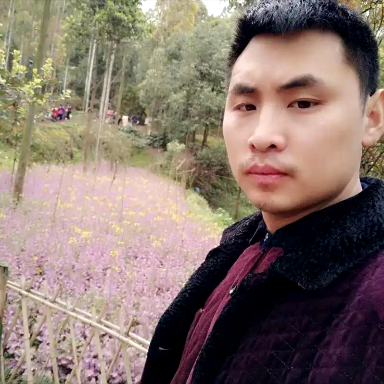有情总被无情伤的照片