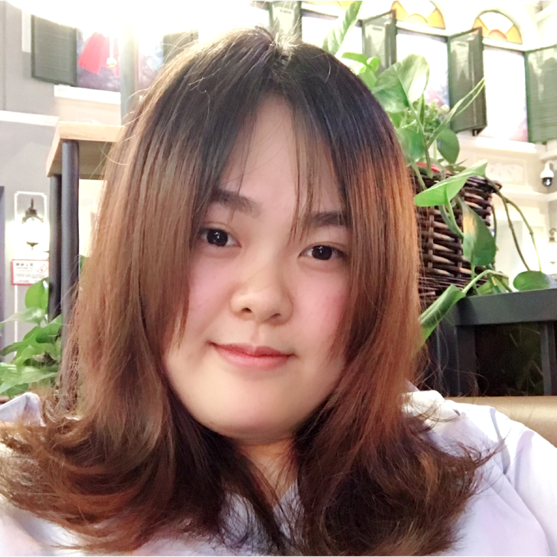 敏敏乖乖的照片