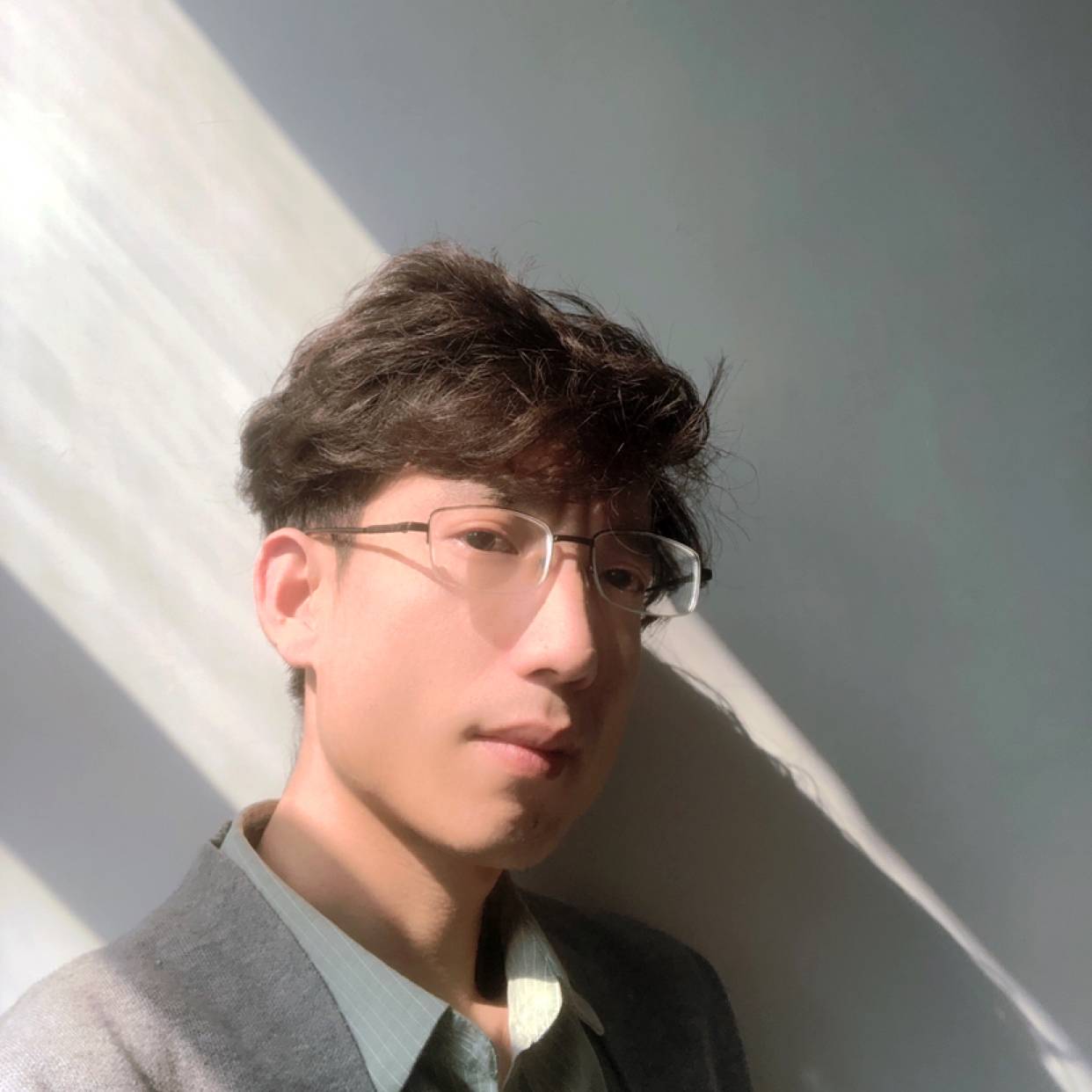 树叶蹙眉动听的照片