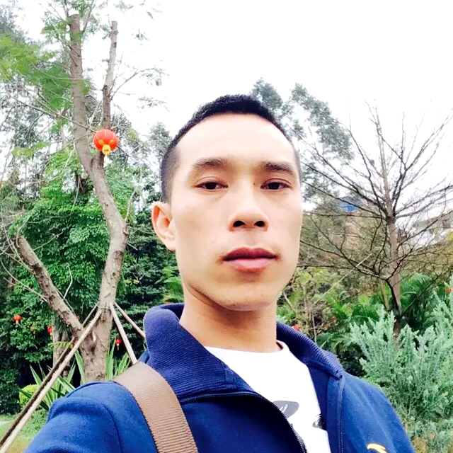 翅膀敏感的照片