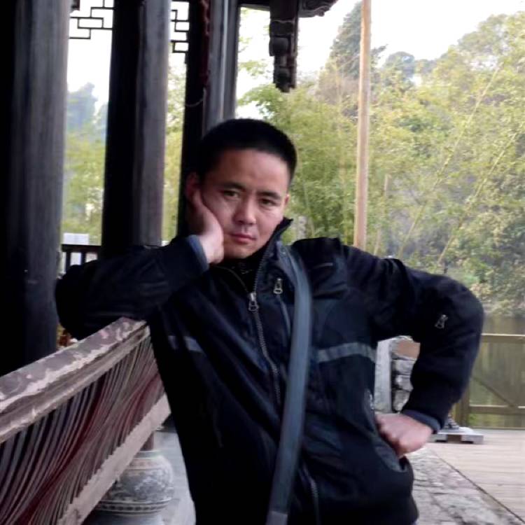 灰狼愿独寂的照片