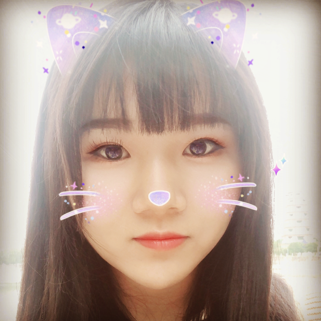 草莓的照片