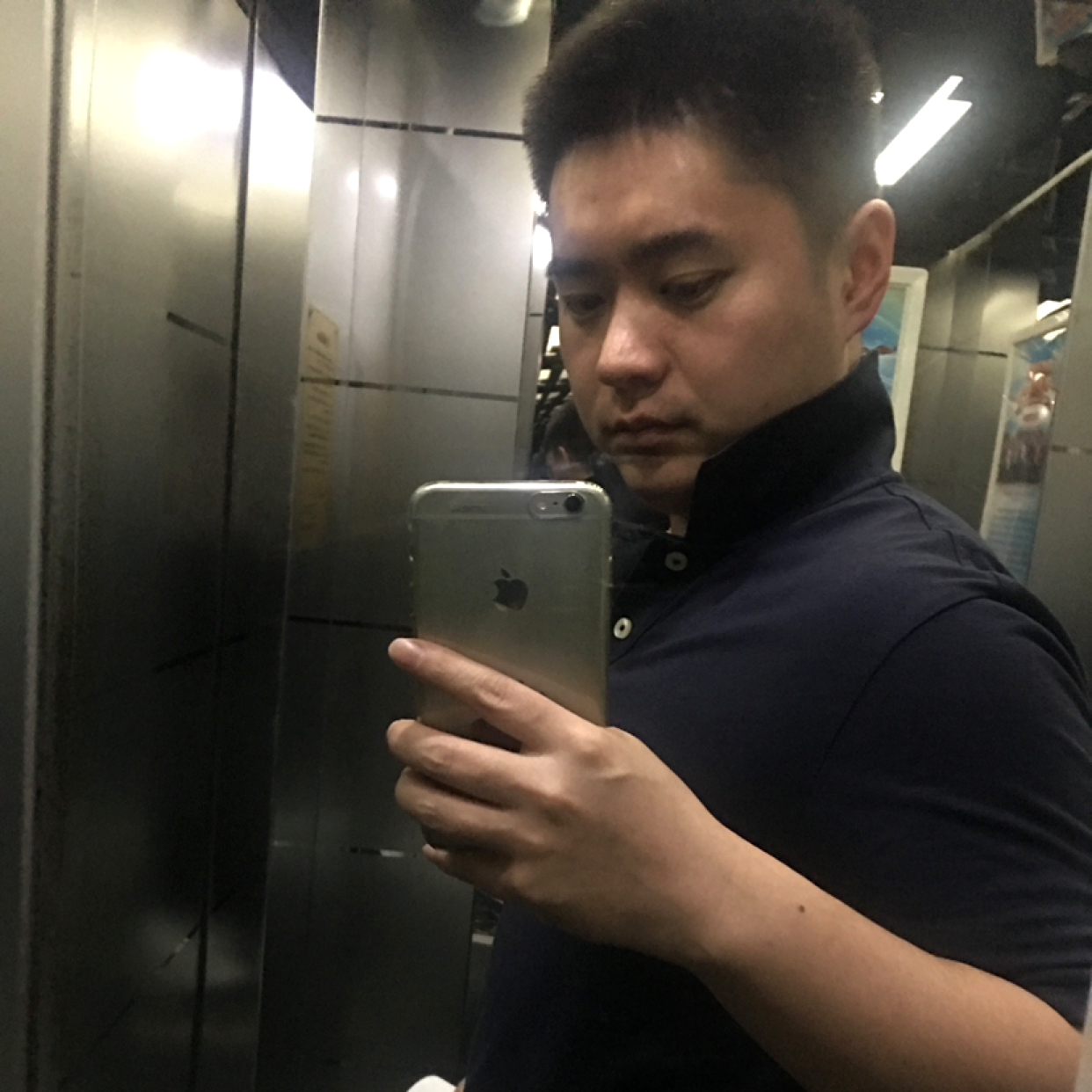 泡杯苦丁茶的照片