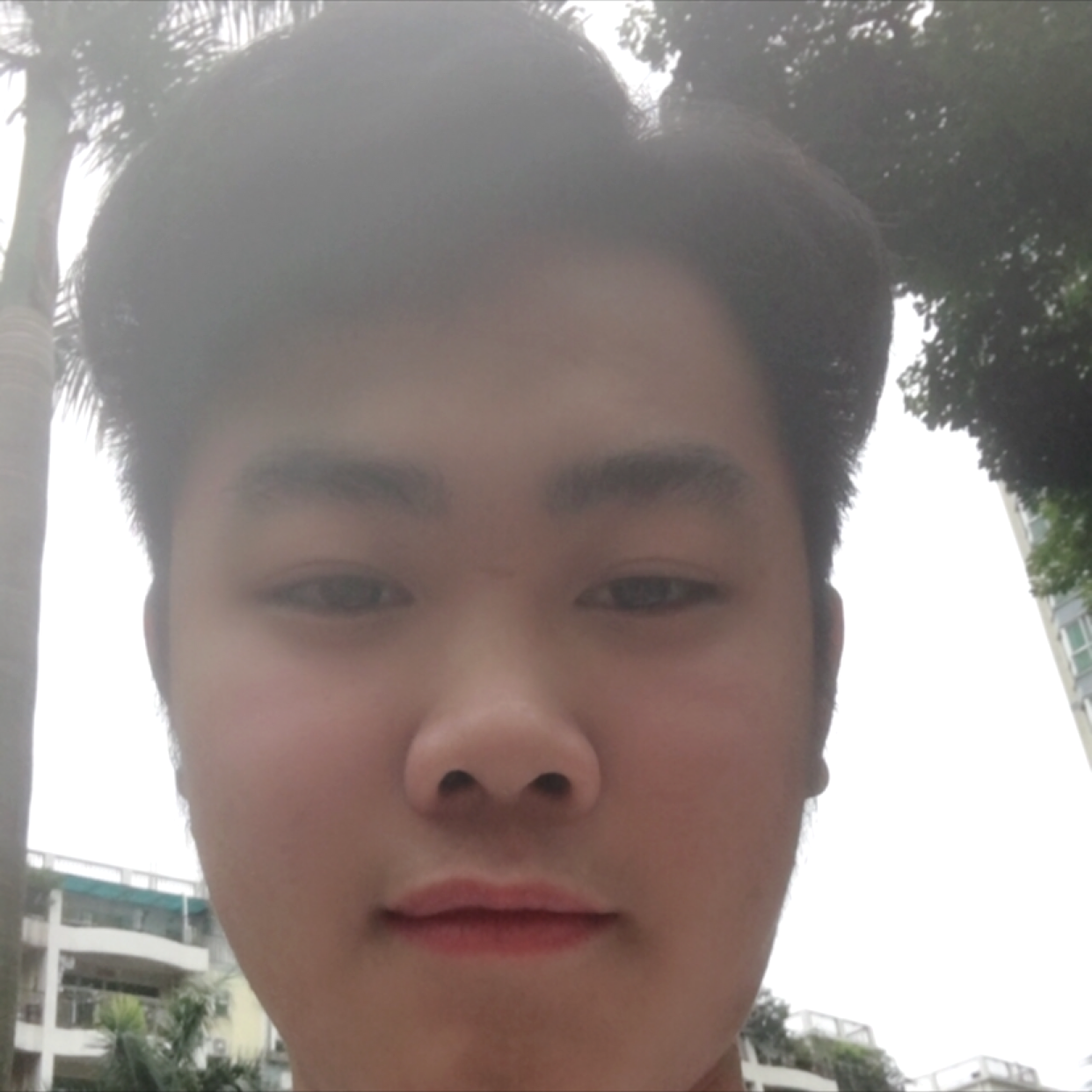 俭朴蹁跹柚子的照片