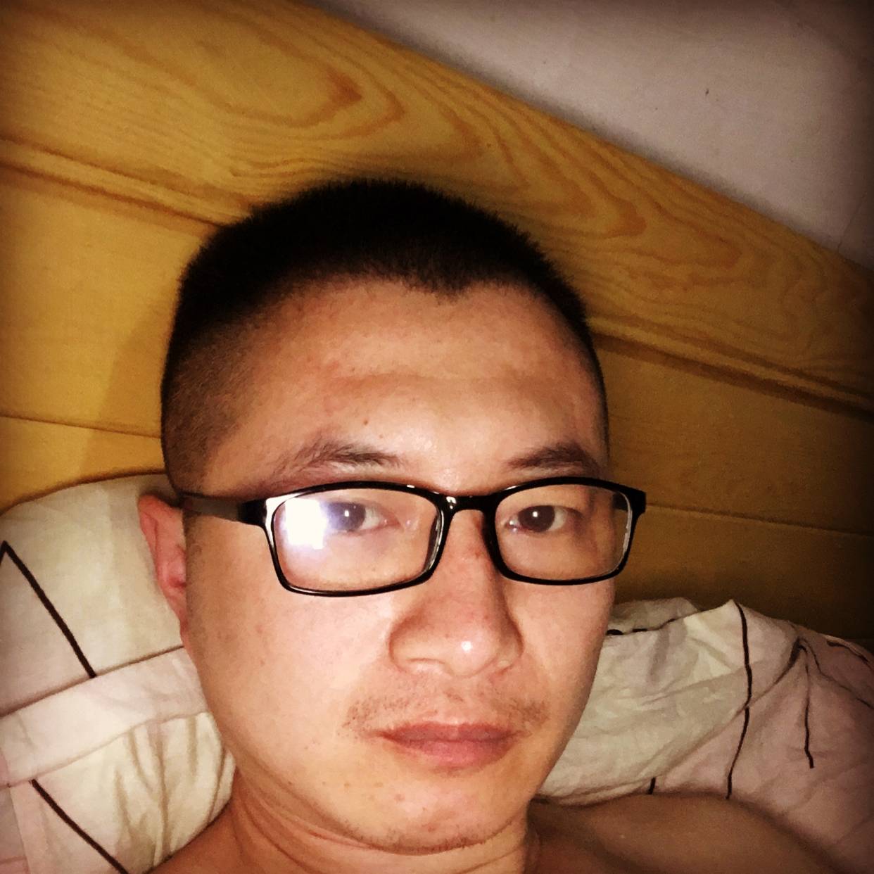 凶狠爱猎豹的照片