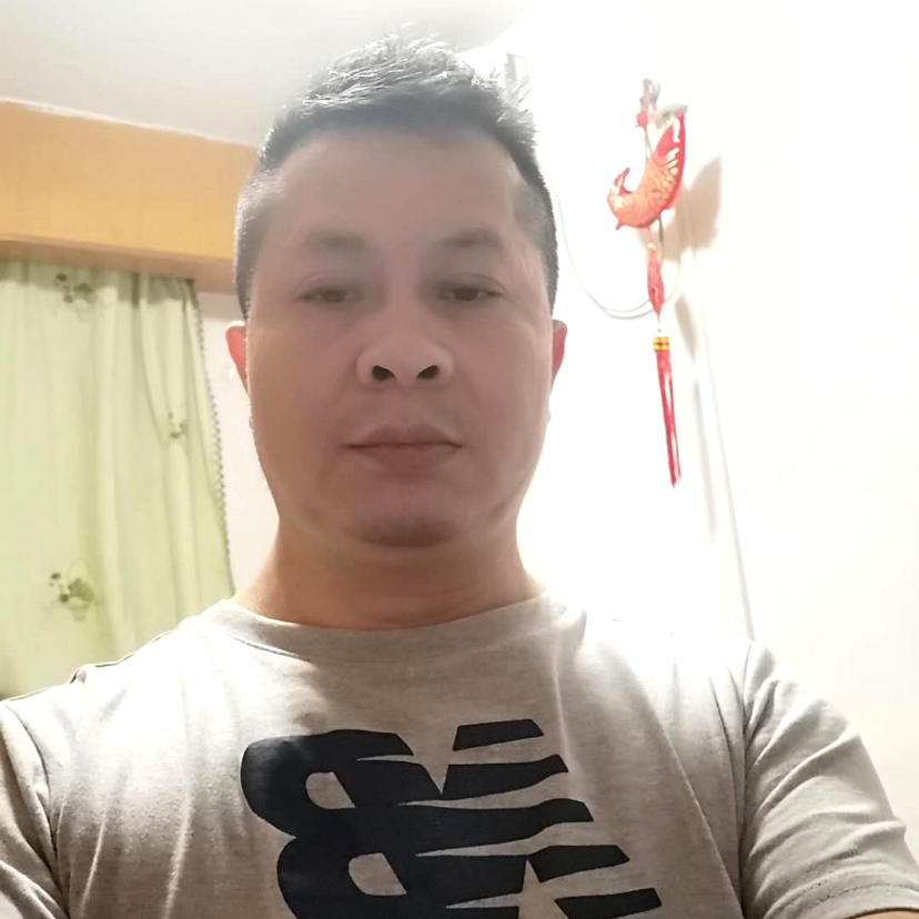糊涂向蜜蜂的照片