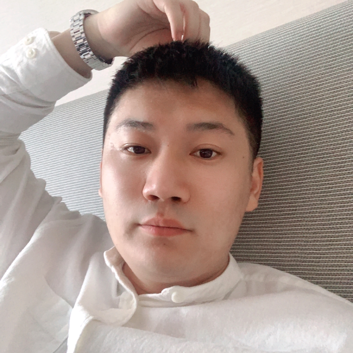 靓丽木鱼的照片