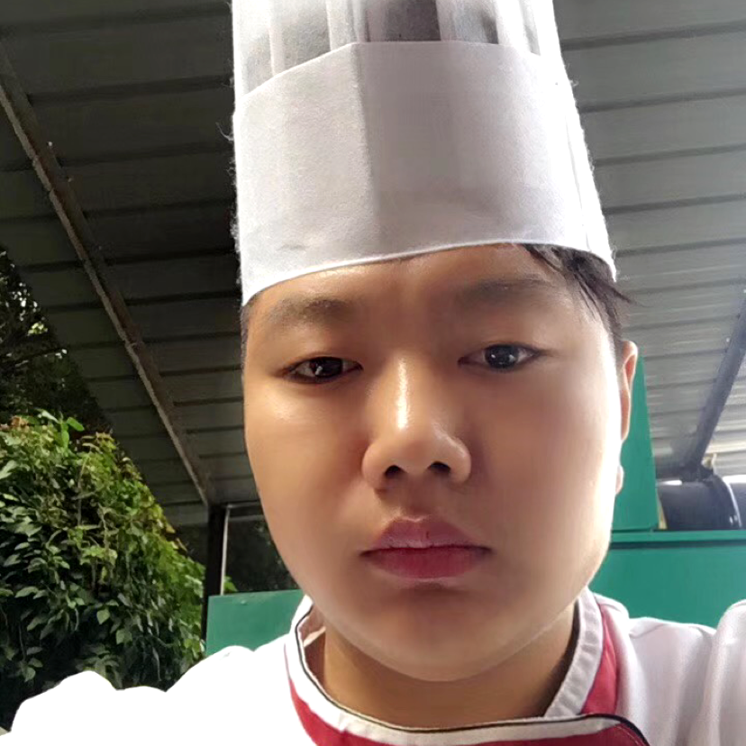 仙人掌阳光的照片