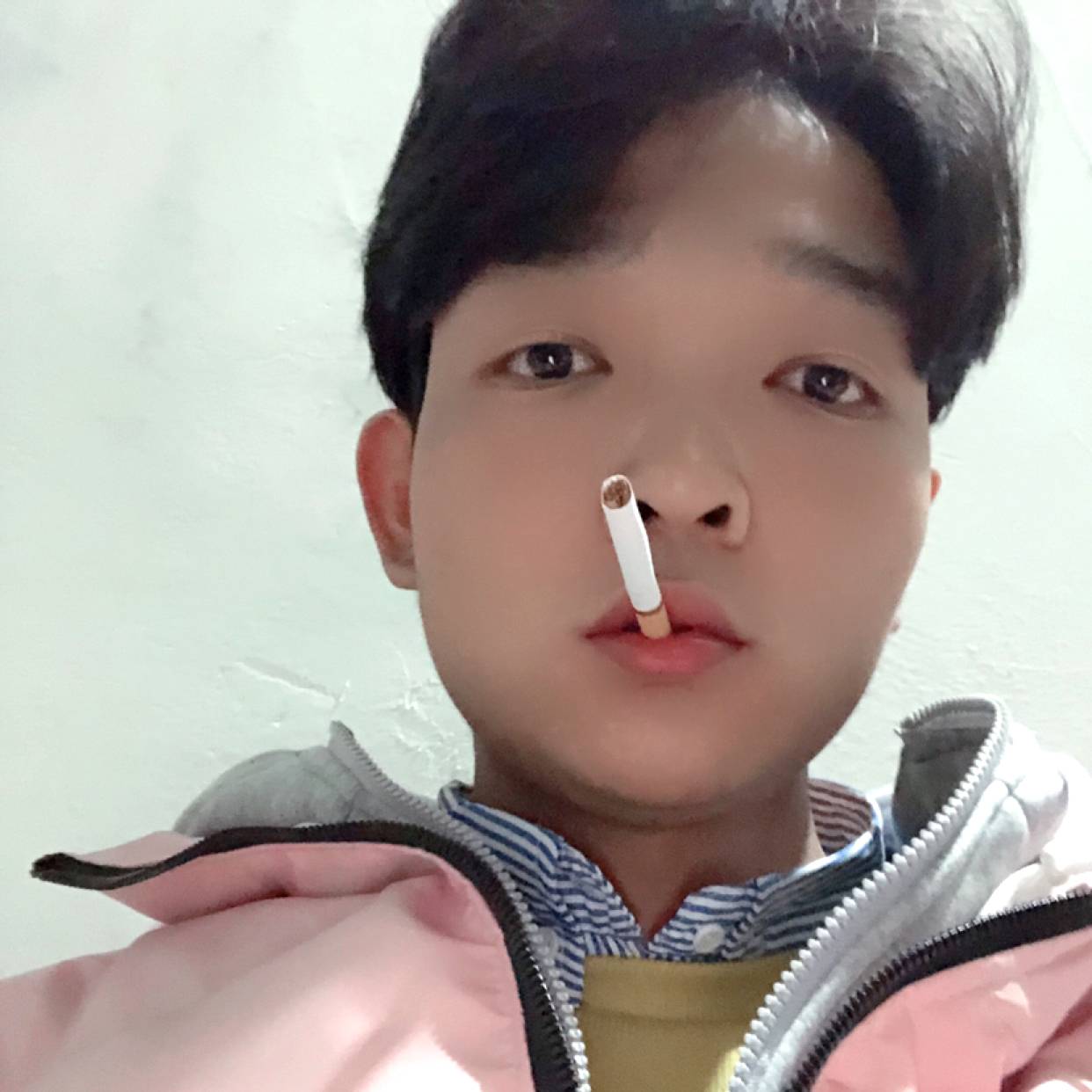 爱撒娇的饼干的照片