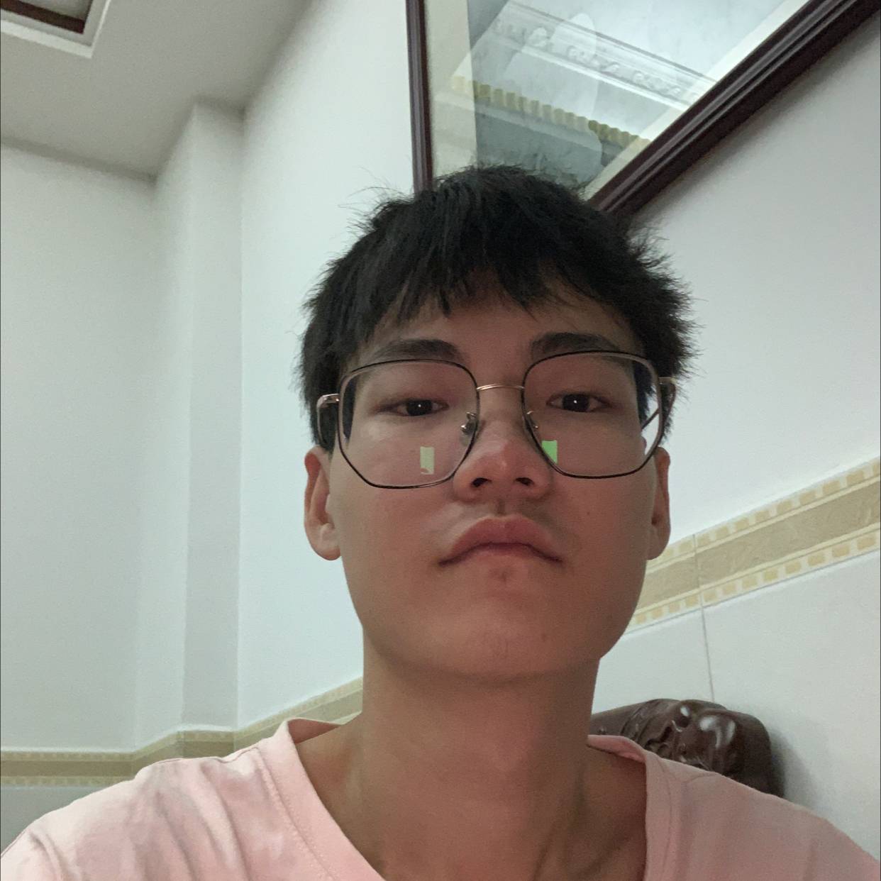 丑小鸭的照片