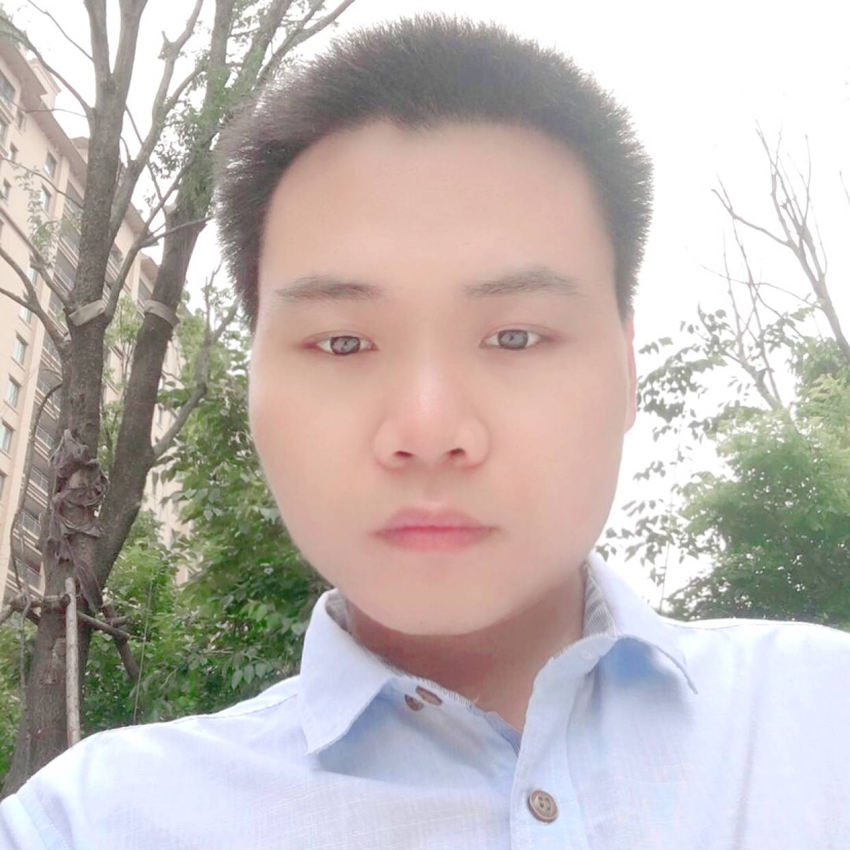 传统放弃柠檬的照片