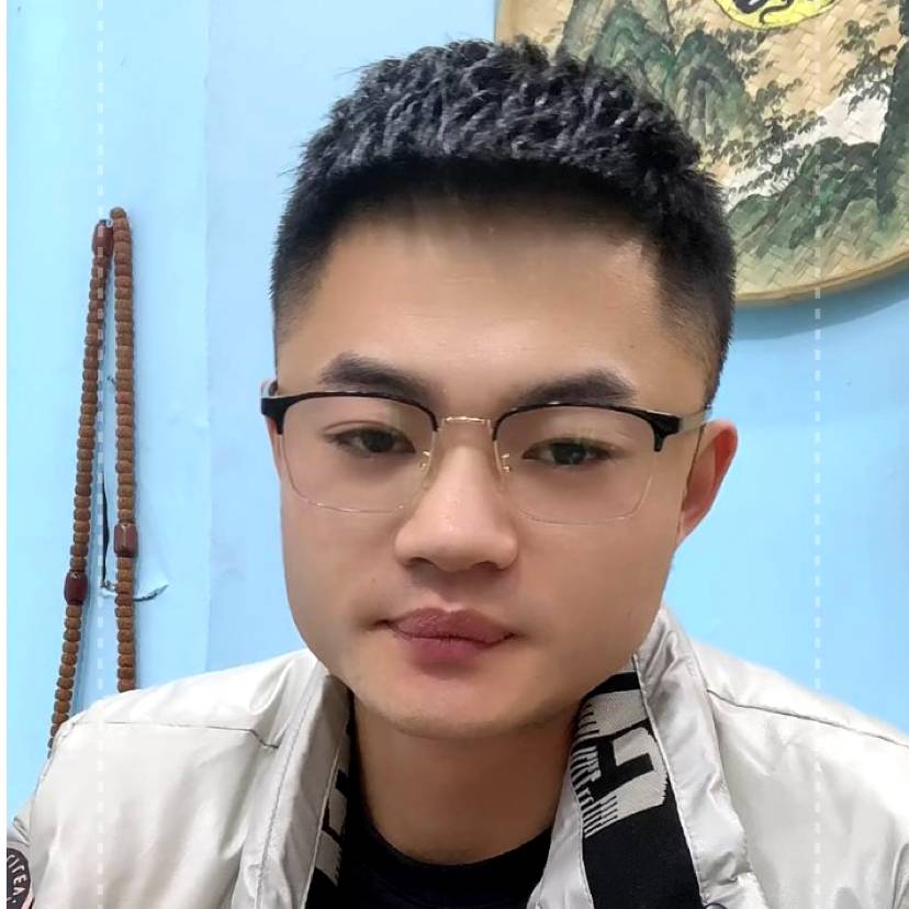 鸡停止缥缈的照片