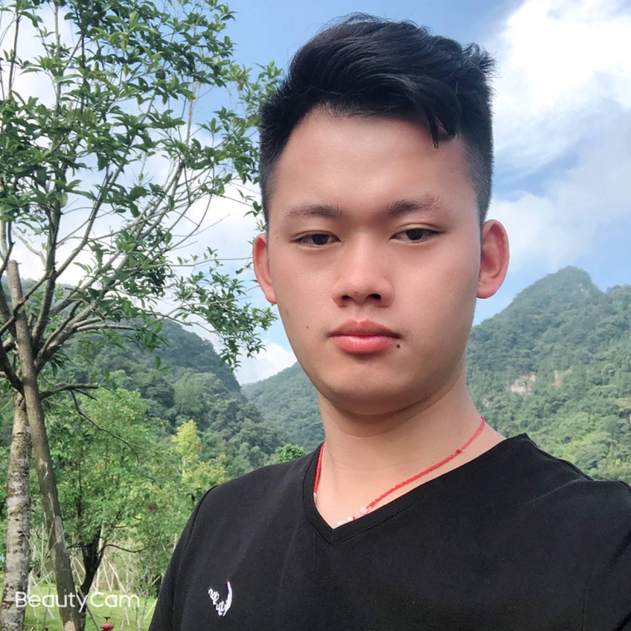可爱的黑猫的照片