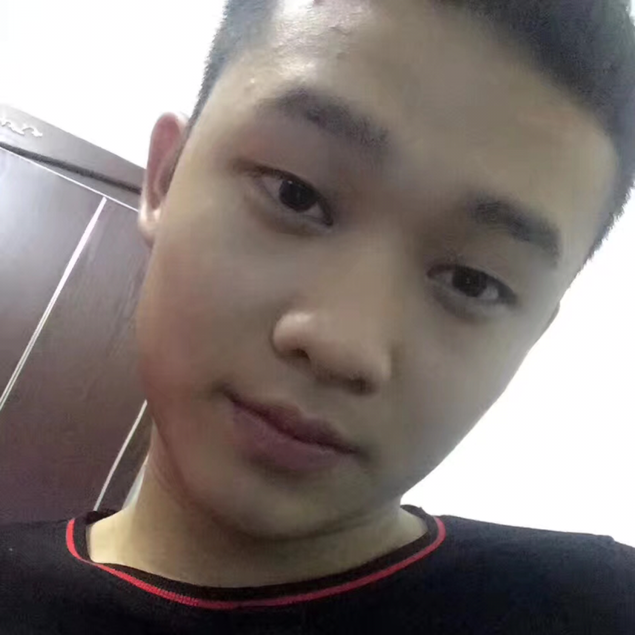 小熊猫无情的照片