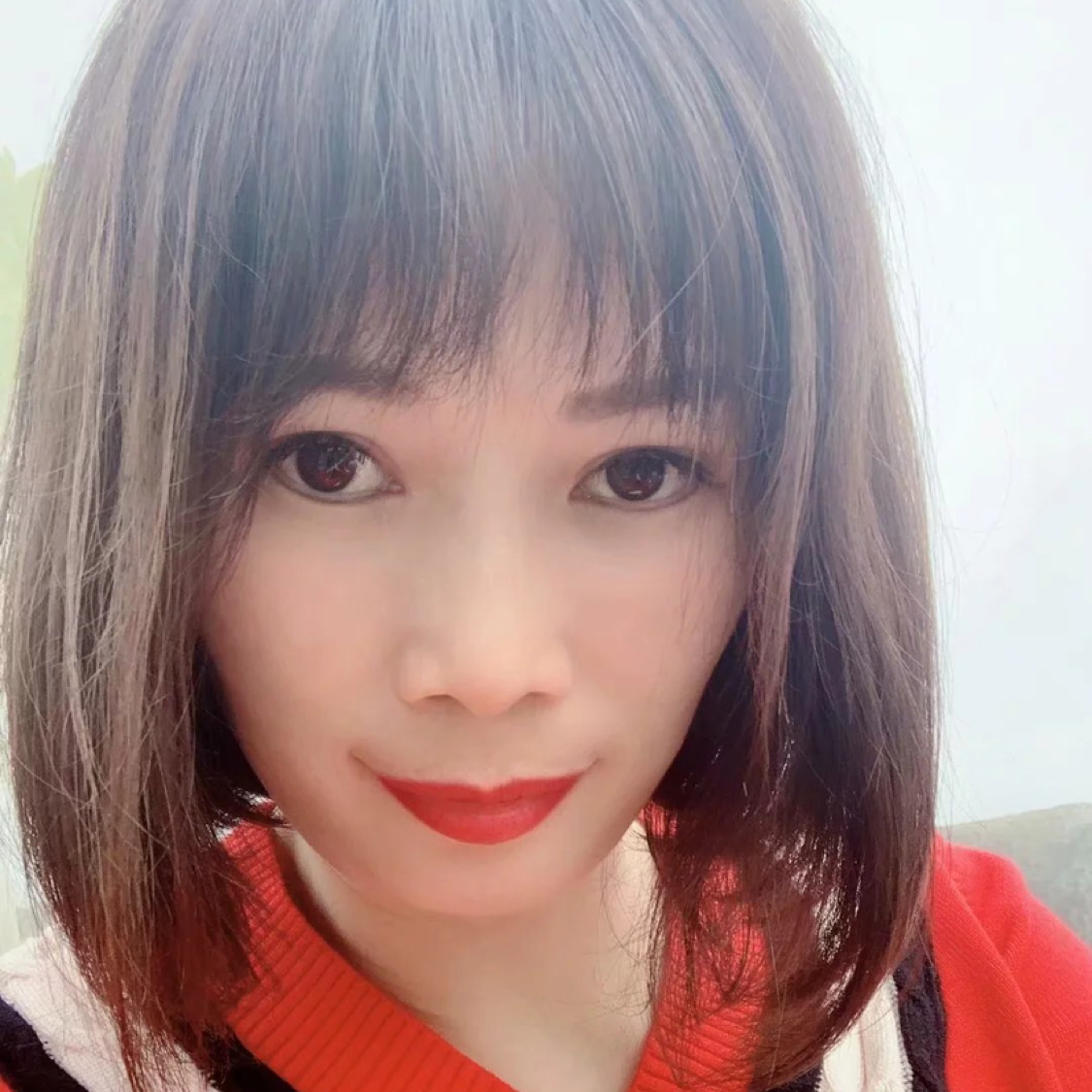 流星的照片