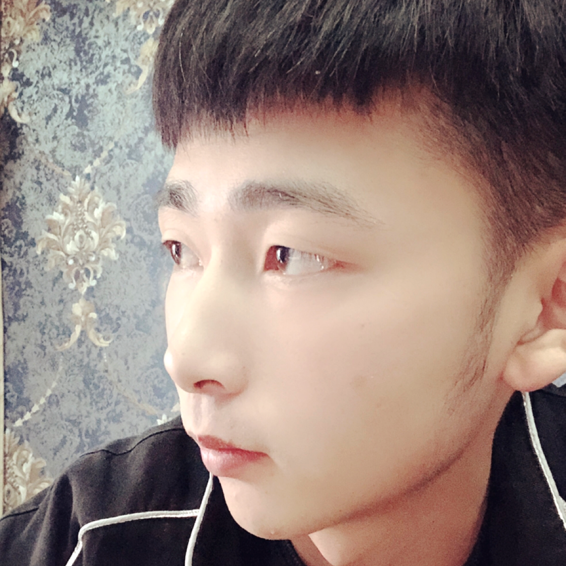 重要有板栗的照片
