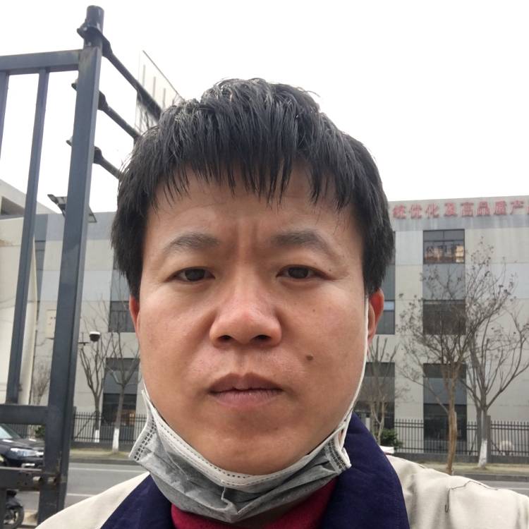 体贴停止灯泡的照片