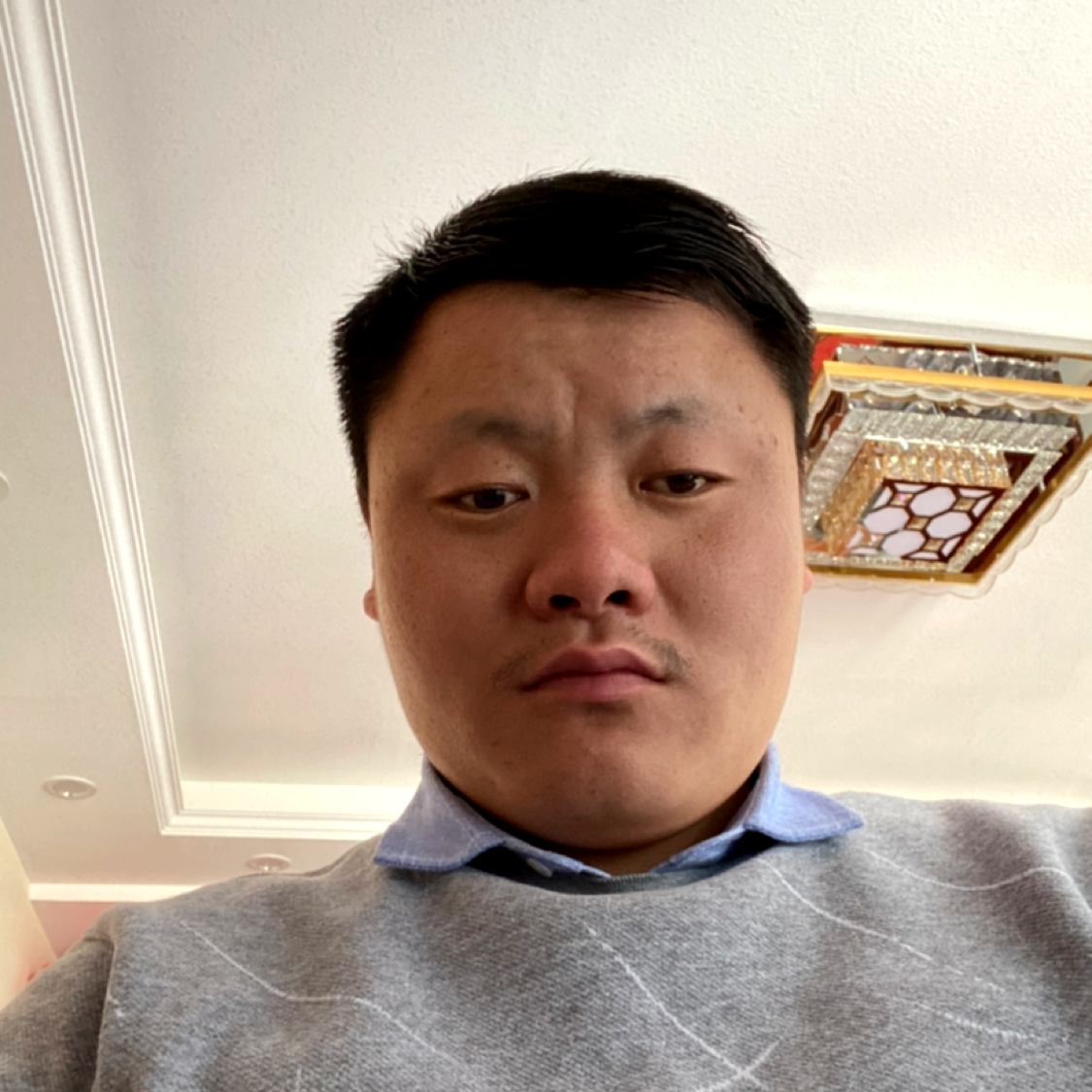 皇室贵的照片