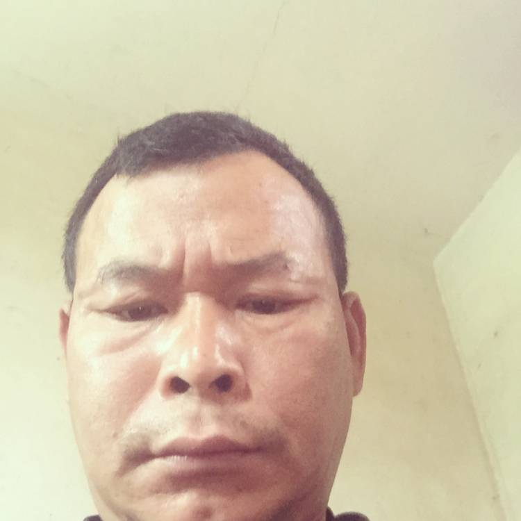 幻灭挽手绝影的照片