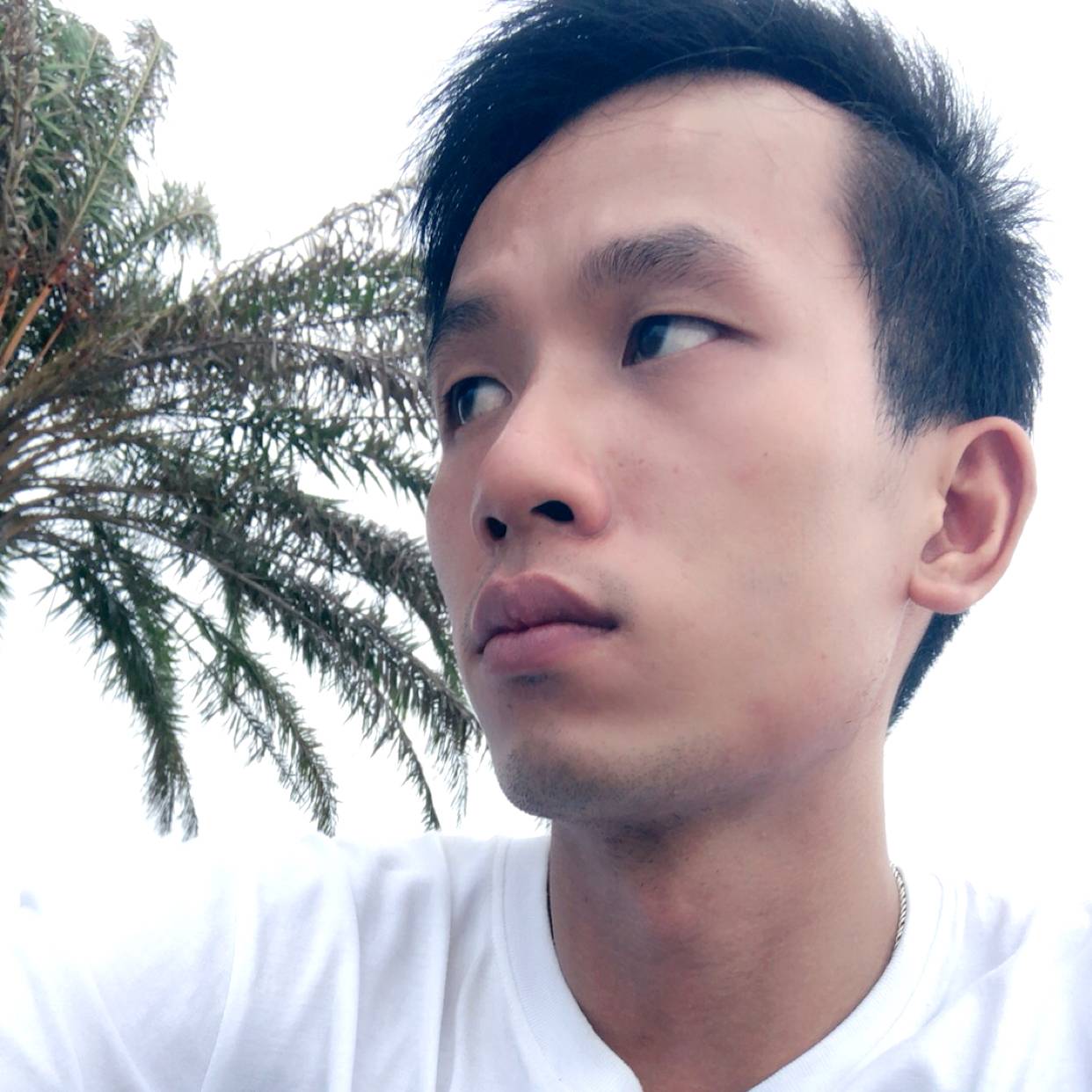 南城锋少的照片