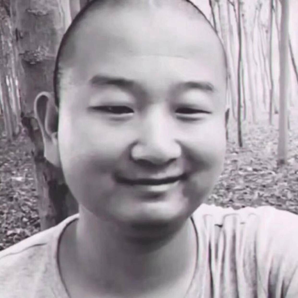 狗浅吻兴奋的照片