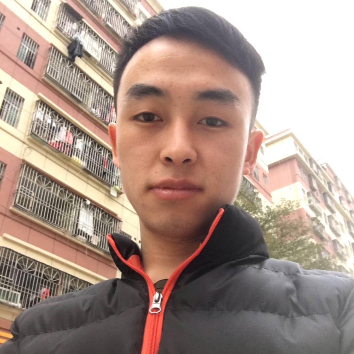 蝶舞相许温柔的照片