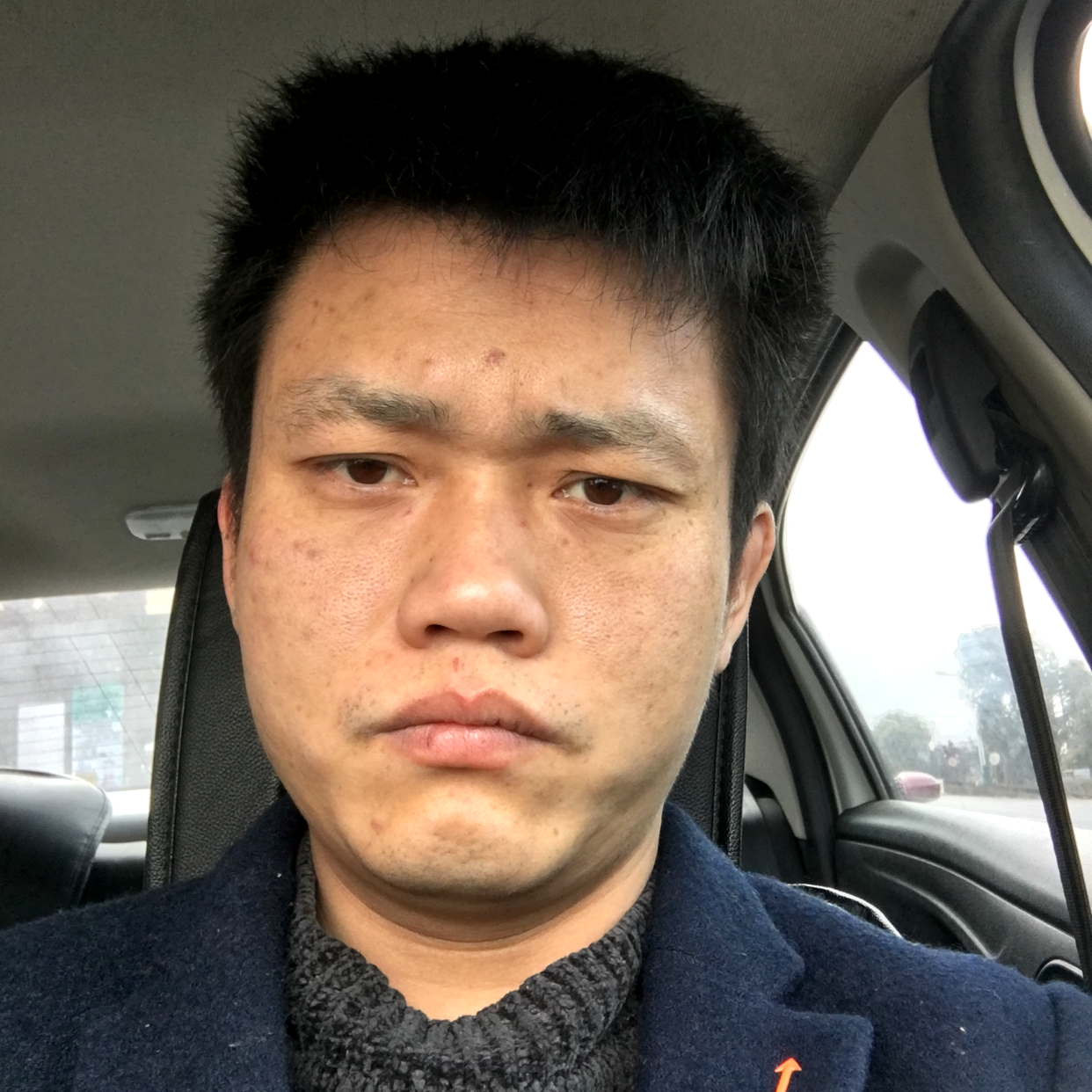 鸭子聪明的照片