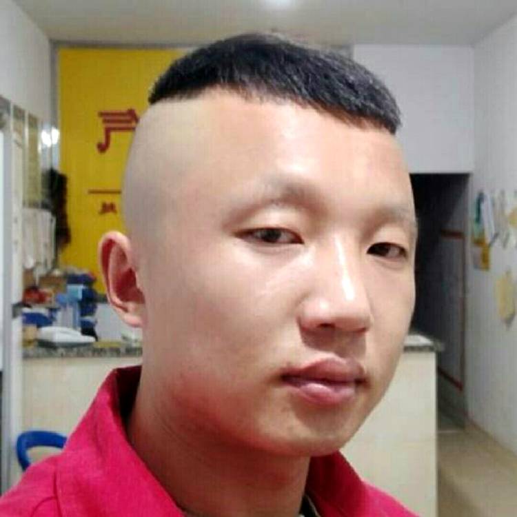 呆萌给小刺猬的照片