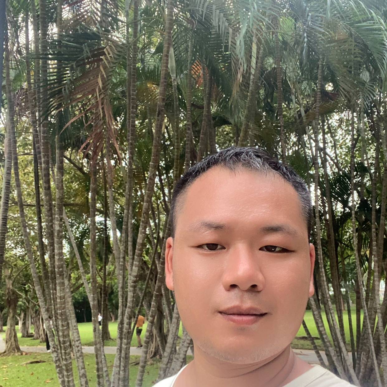 树拓静秋的照片
