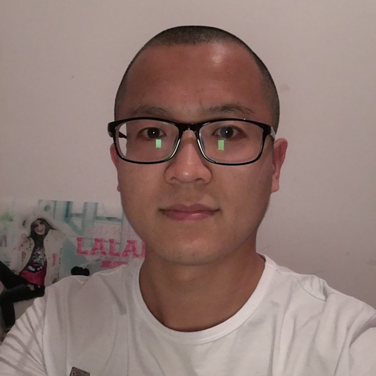 蒙塔基的钢蛋啊的照片