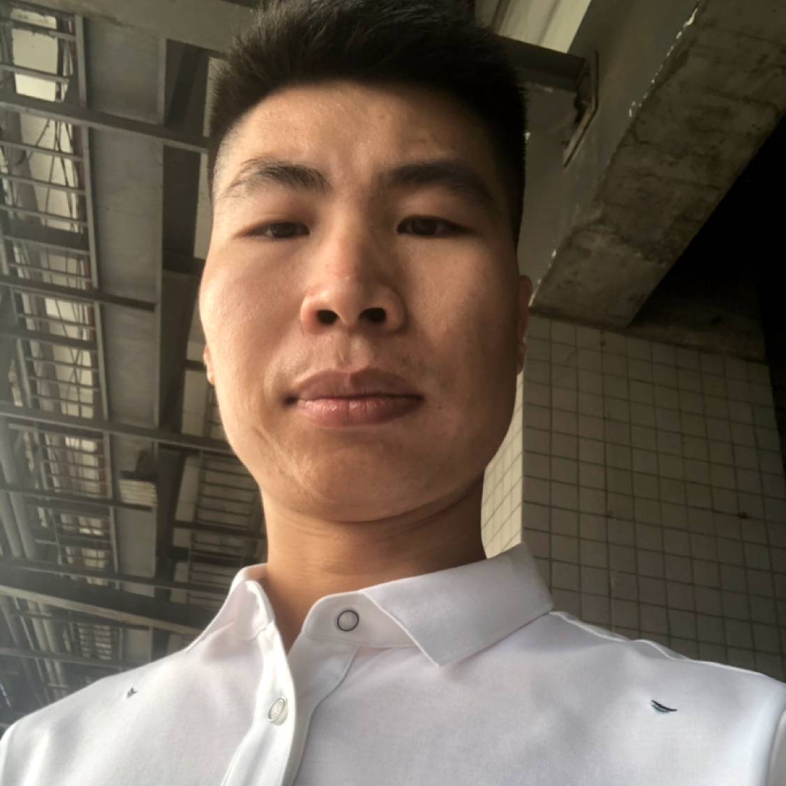 呆萌相许铅笔的照片
