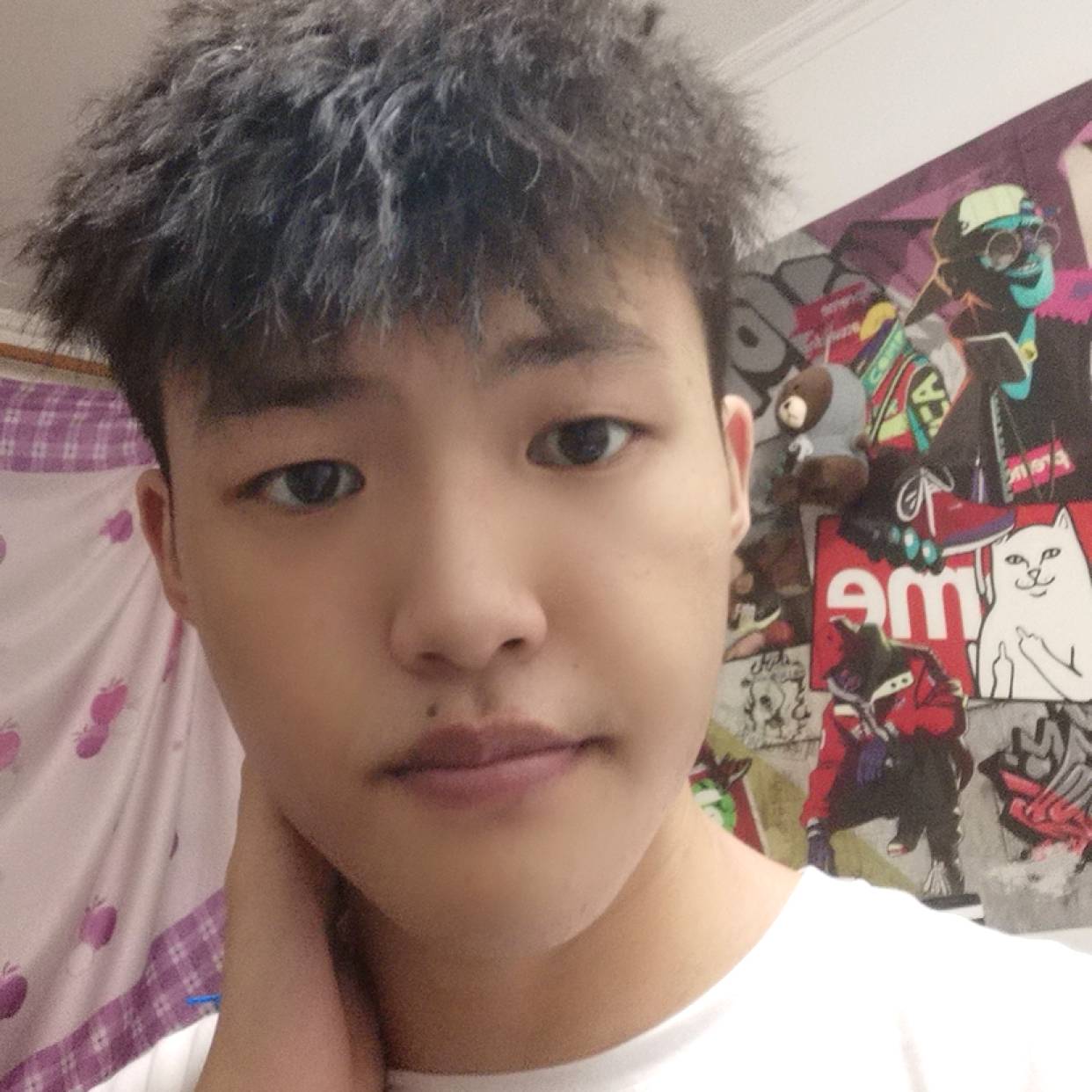 沉静倾心黄蜂的照片