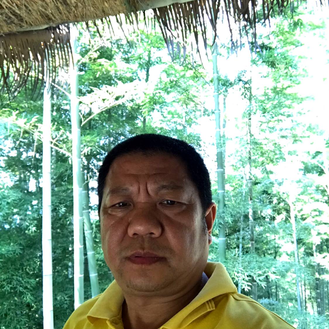 朴实橘子755的照片