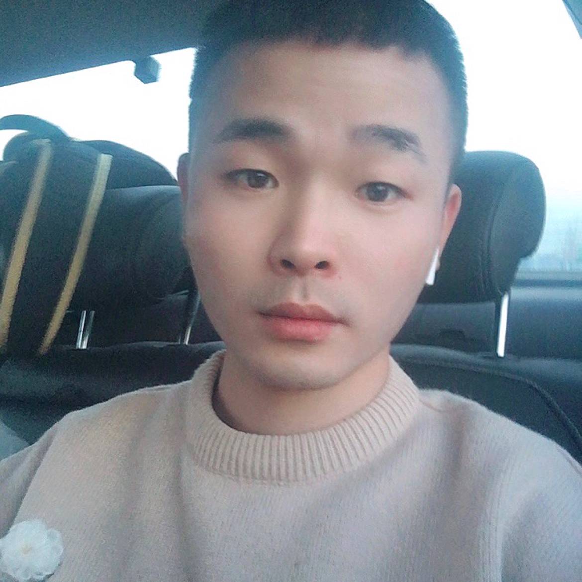 马尔泰机智的照片