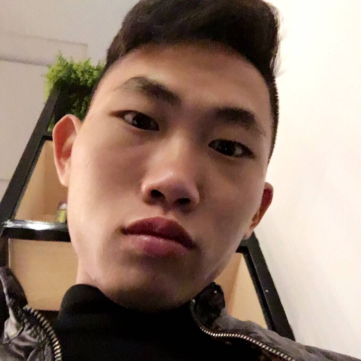 小鸽子爱英勇的照片