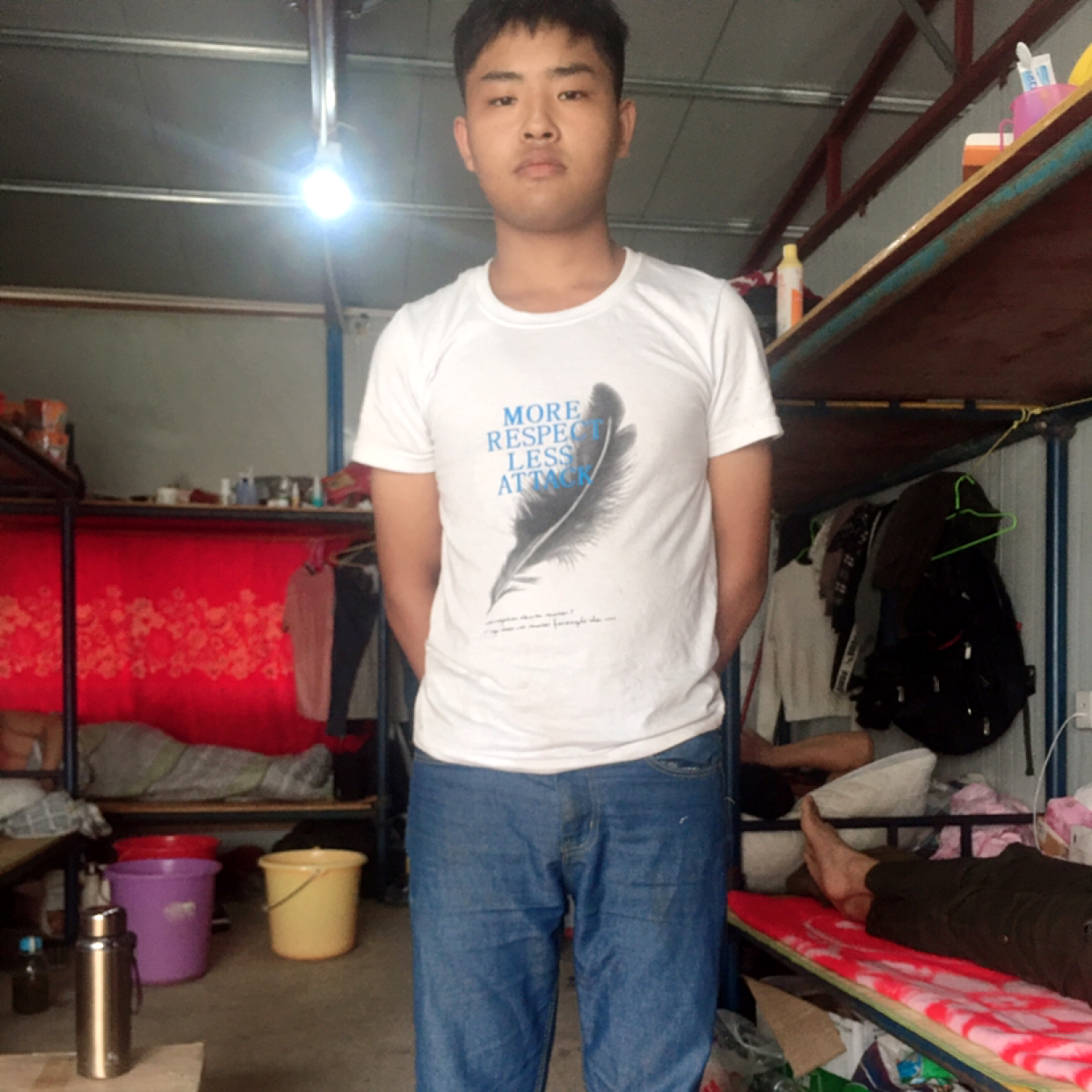 黄蜂演变听话的照片