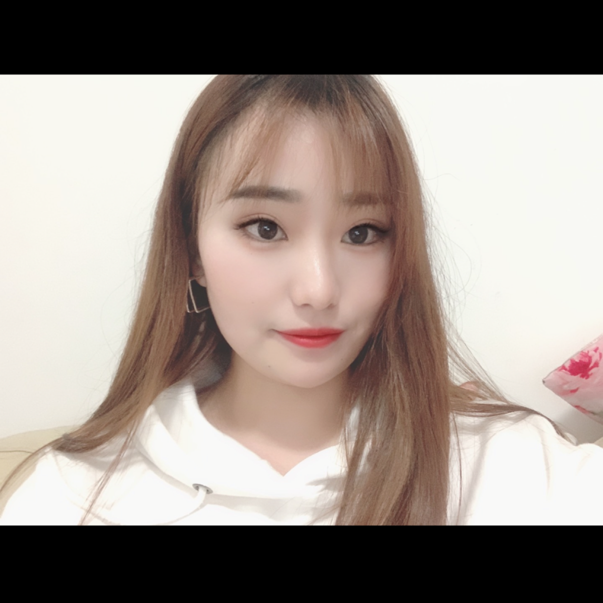 小怪兽的照片