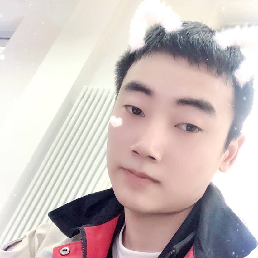 猪仔、的照片