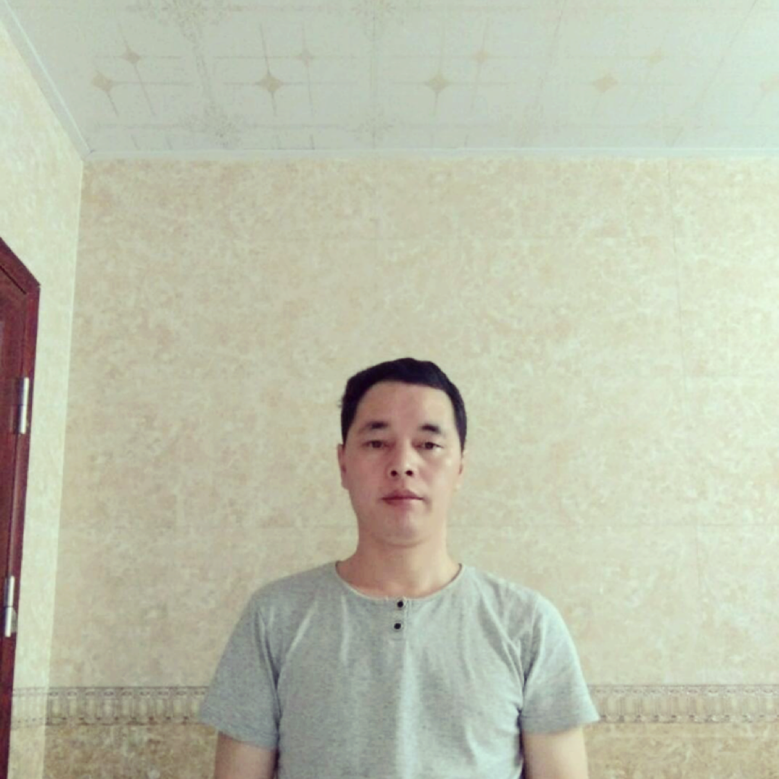 老鼠和优雅的照片