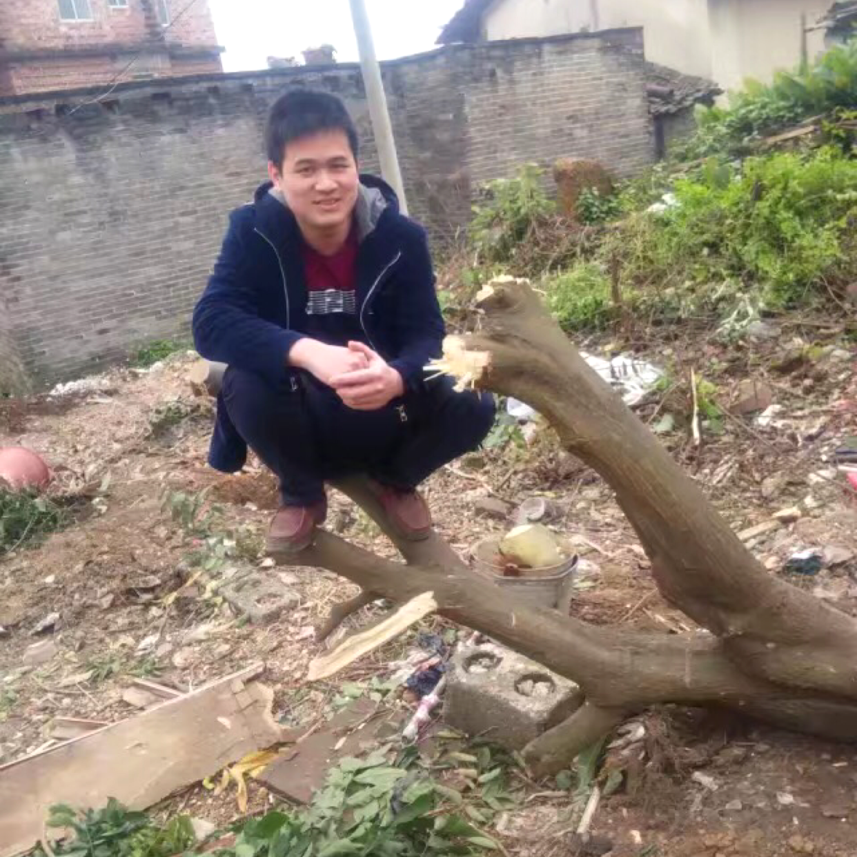傲娇初恋的照片