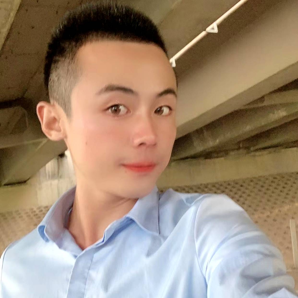 花瓣停止高大的照片